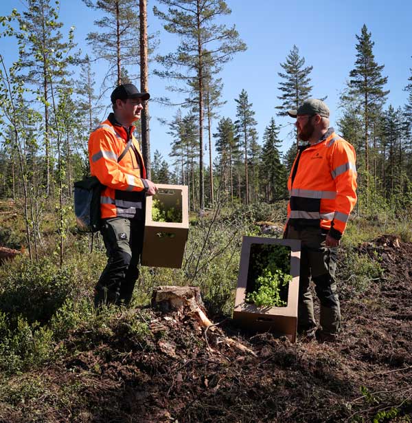 Anders Hansson, Niklas Illman